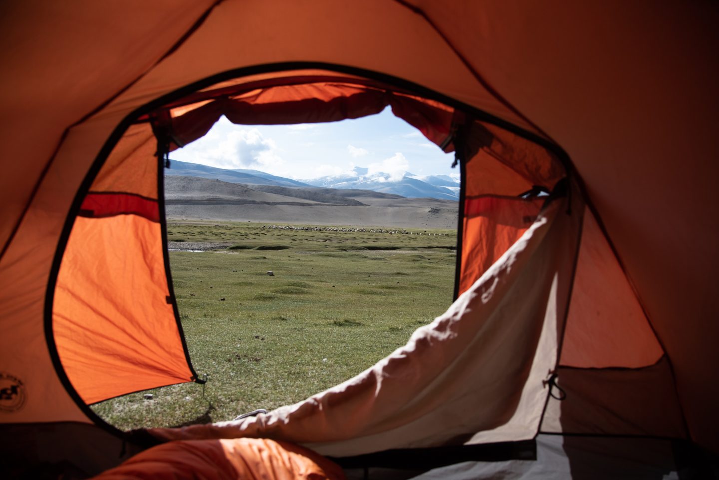 Ladakh | Changtang Peaks Exploratory | 6000m+