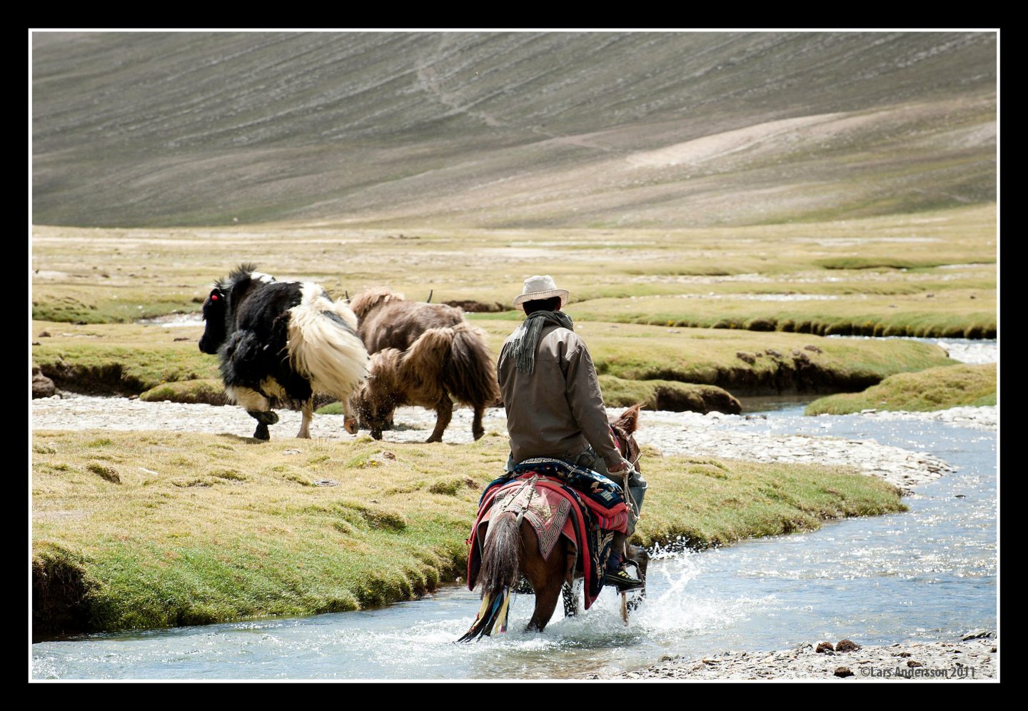 Lakes on the Roof of the World Trek | Ladakh