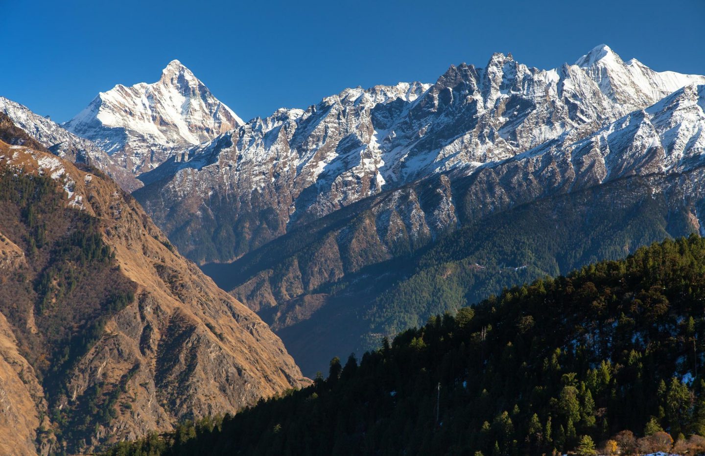Nanda Devi | A well-rounded exploratory trek