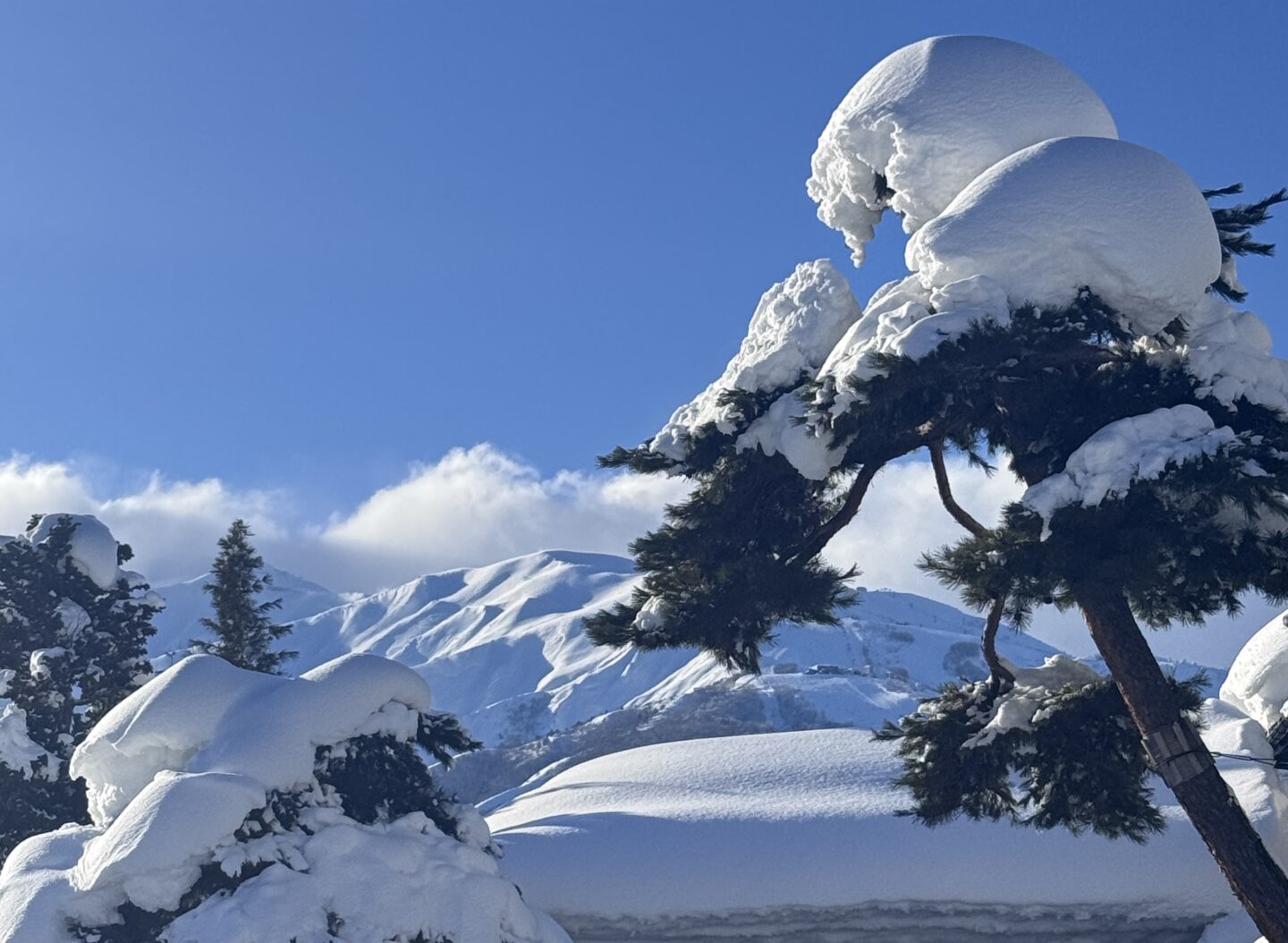 Japan Ski Exploratory | Backcountry powder skiing & splitboarding