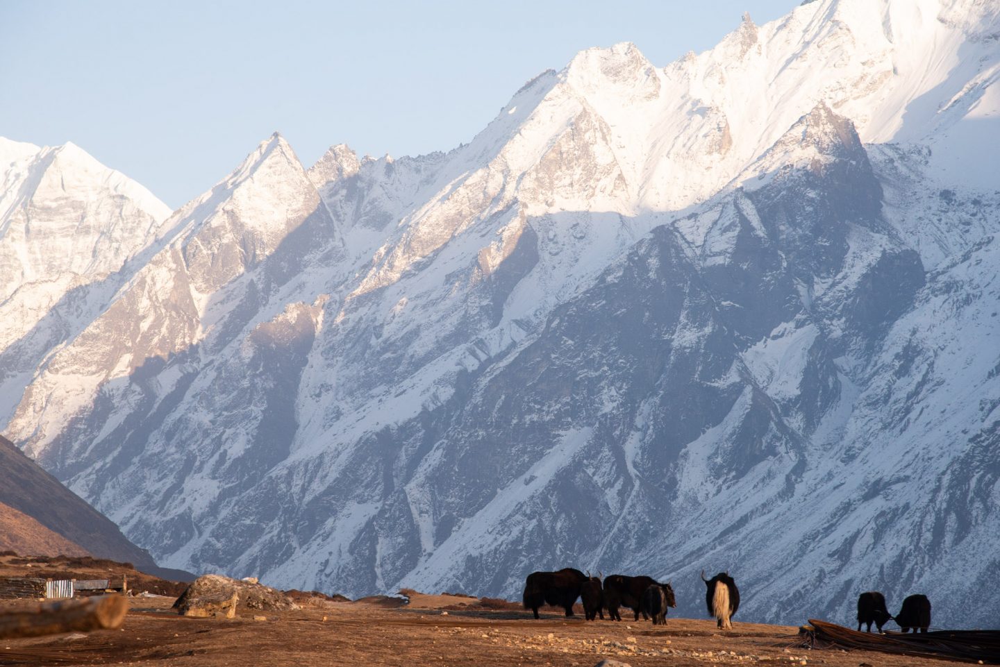 Langtang