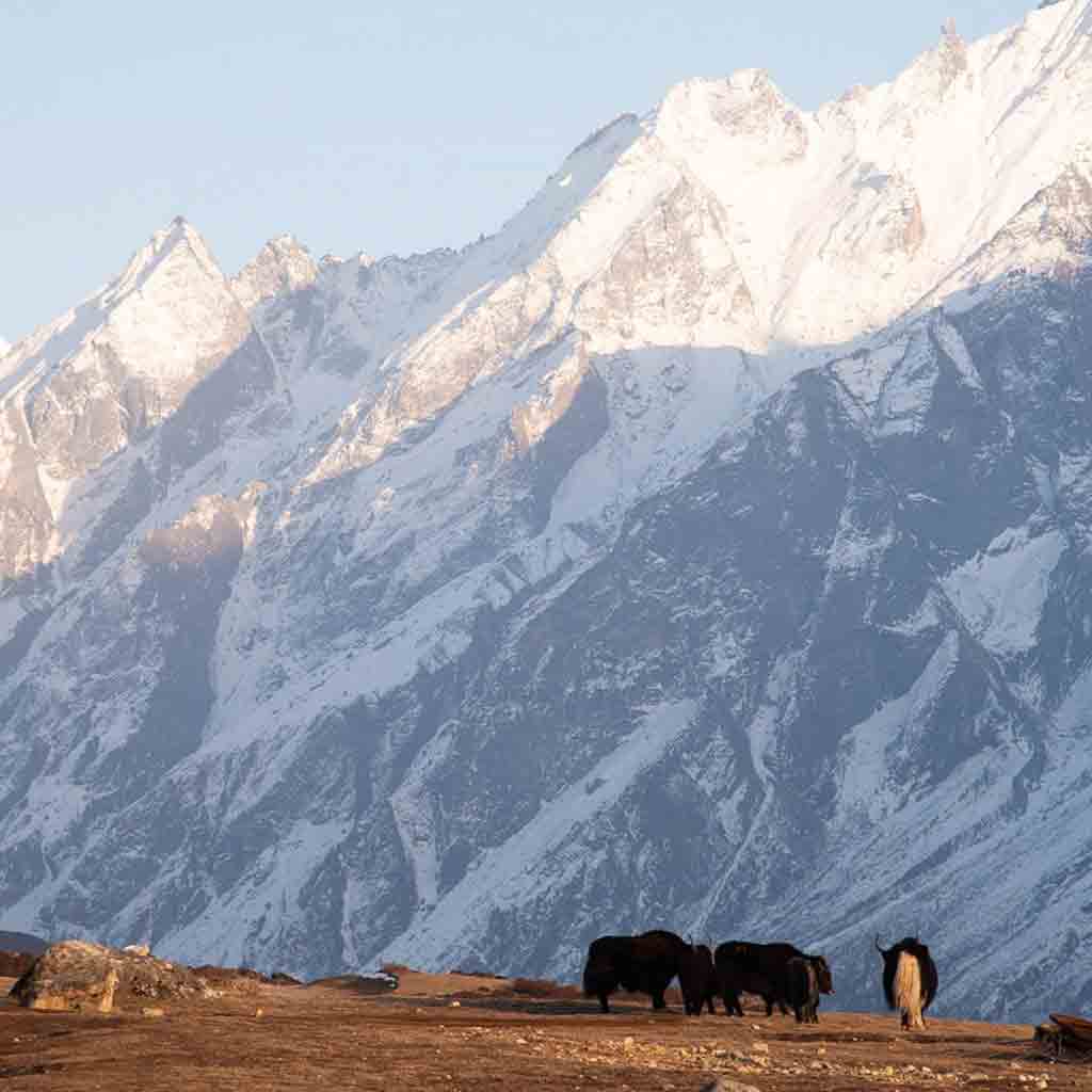 Langtang-alpine-skills