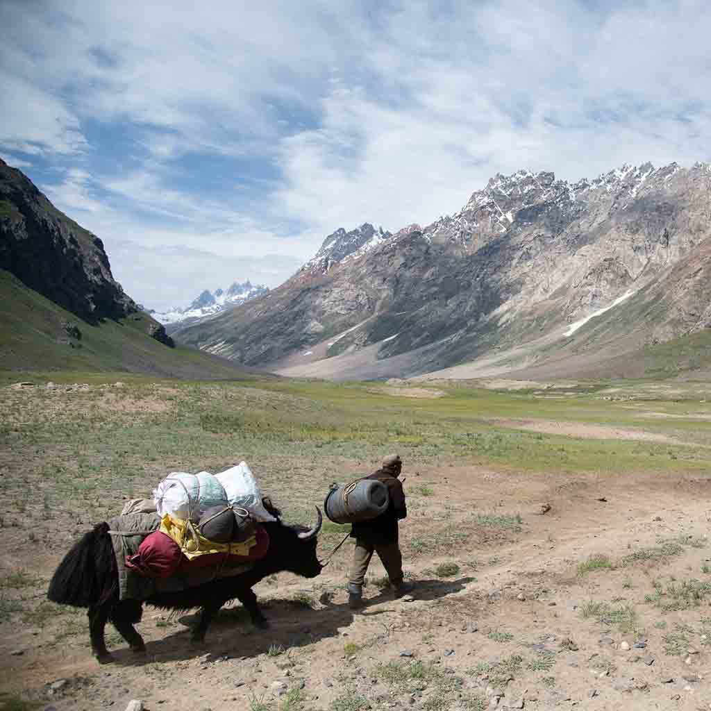 Zanskar Exploratory Alpinism | 6000m+