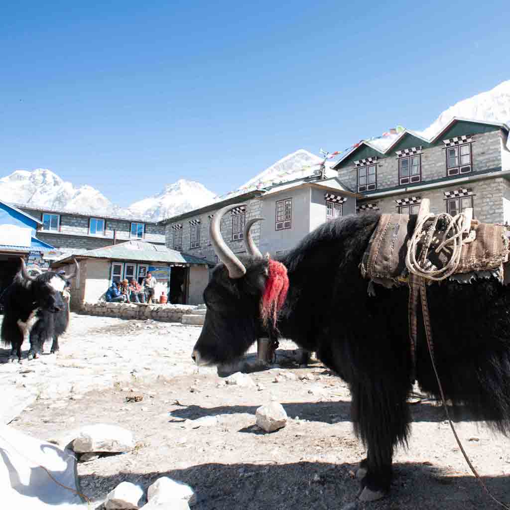 Everest High Trek with Gokyo Lakes | Nepal