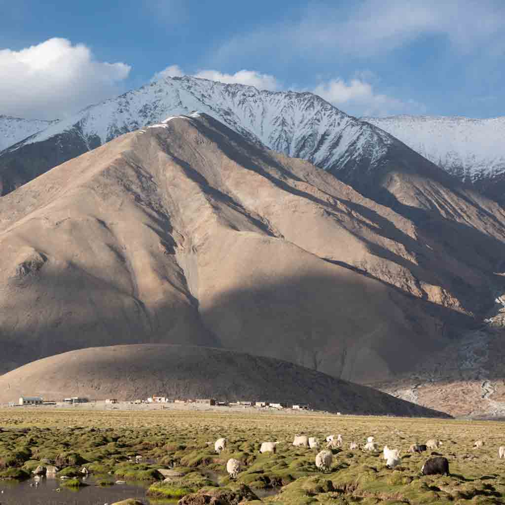 Ladakh | Changtang Peaks Exploratory | 6000m+