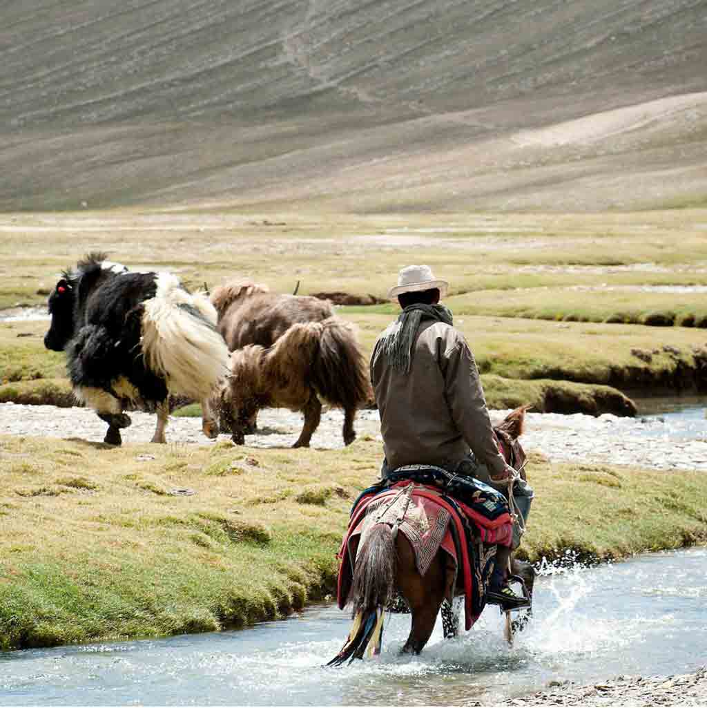 Ladakh Discovery